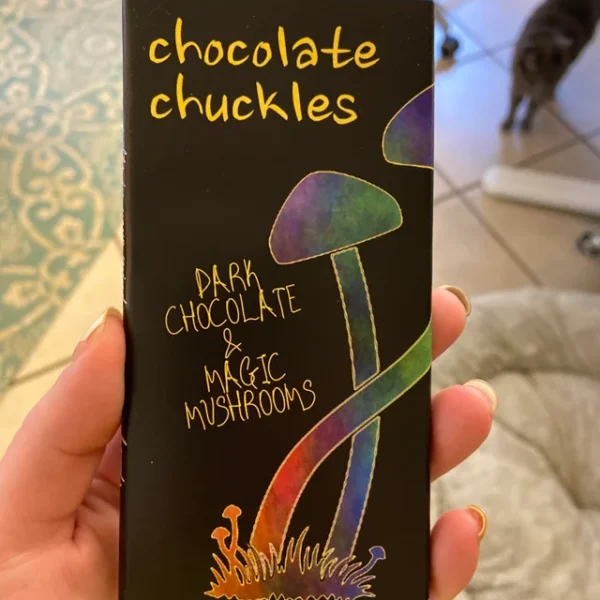 psilocybin mushroom chocolate